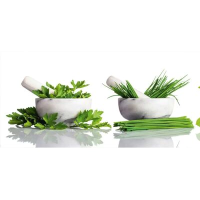 EXPRESS KÜCHEN Küchenrückwand Herb - 120x55,9 cm EXPRESS KÜCHEN Küchenrückwand Herb - 120x55,9 cm