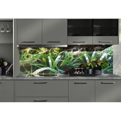 EXPRESS KÜCHEN Regenwald - Bunte Küchenrückwand - Spritzschutzwände EXPRESS KÜCHEN Regenwald - Bunte Küchenrückwand - Spritzschutzwände