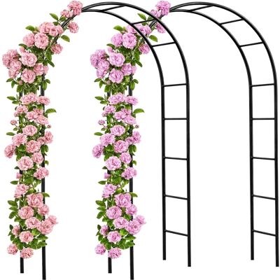 GardeBruk Garden Arch with Roses Support - Outdoor Metal Garden Support Structure GardeBruk Garden Arch with Roses Support - Outdoor Metal Garden Support Structure