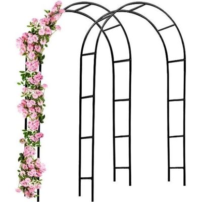 Gardebruk Arc de Jardin - 240x140x37cm Noir - Support de Jardin Gardebruk Arc de Jardin - 240x140x37cm Noir - Support de Jardin