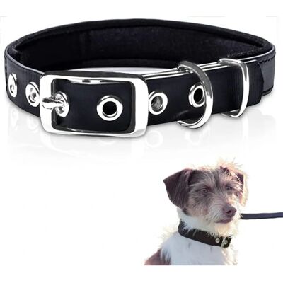 PetTec Veganes Trioflex Hundehalsband - Wasserabweisend PetTec Veganes Trioflex Hundehalsband - Wasserabweisend
