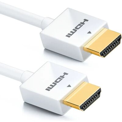 deleyCON - MK79 - 0.5 m - HDMI Type A deleyCON - MK79 - 0.5 m - HDMI Type A