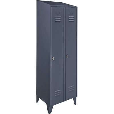 Armadio in acciaio Wolf - Tetto spiovente - 2 scomparti - Grigio blu Armadio in acciaio Wolf - Tetto spiovente - 2 scomparti - Grigio blu