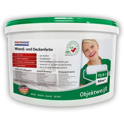 e-Delux White Wall Paint - PROFHOME 300-31 - Good Coverage e-Delux White Wall Paint - PROFHOME 300-31 - Good Coverage