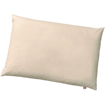 SISSEL 101026 Oreiller - Hypoallergénique, Bio, 60x40cm - Publicité SISSEL 101026 Oreiller - Hypoallergénique, Bio, 60x40cm - Publicité
