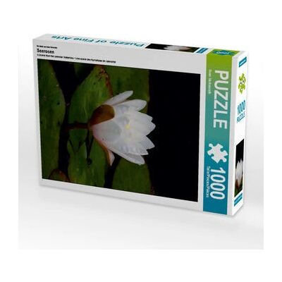 CALVENDO - 4250800937297 - 1000 piezas - Puzzle CALVENDO - 4250800937297 - 1000 piezas - Puzzle