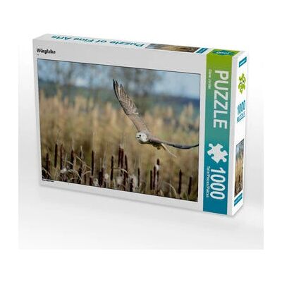 CALVENDO - Faucon Saker - 1000 piezas - rompecabezas CALVENDO - Faucon Saker - 1000 piezas - rompecabezas
