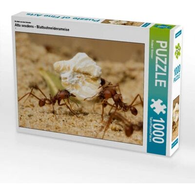 CALVENDO - Atta sexdens - 64 x 48 cm - 1000 Stukjes - Puzzle CALVENDO - Atta sexdens - 64 x 48 cm - 1000 Stukjes - Puzzle