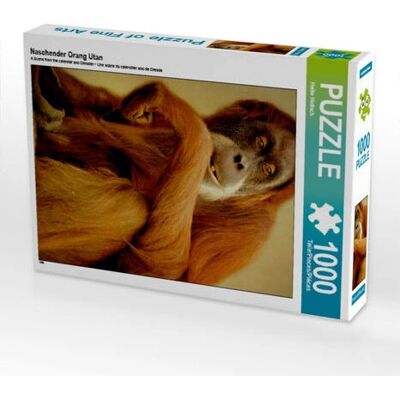 CALVENDO - Orangutan 1000pc - Orangutan - Puzzle CALVENDO - Orangutan 1000pc - Orangutan - Puzzle