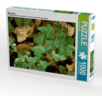 CALVENDO - Vigne de Lierre 1000 - 48 x 64 cm - Puzzle CALVENDO - Vigne de Lierre 1000 - 48 x 64 cm - Puzzle