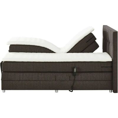 Manolo 2 Braun Motorbett - Boxspringbett Manolo 2 Braun Motorbett - Boxspringbett