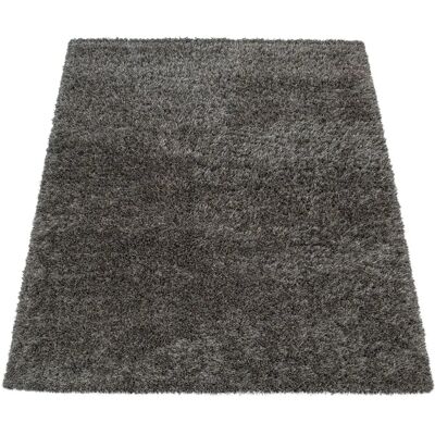 PACO HOME Maya 400 Hochflor-Teppich - Teppich PACO HOME Maya 400 Hochflor-Teppich - Teppich