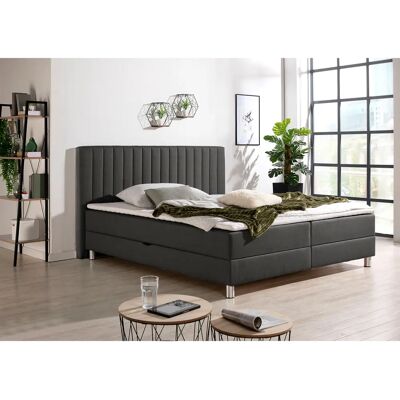 MAINTAL Yanis Boxspringbett - Bonellfederkern - H3 Härte MAINTAL Yanis Boxspringbett - Bonellfederkern - H3 Härte