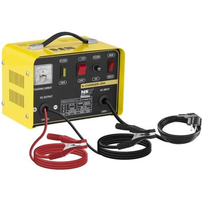 Caricabatterie Pesante MSW - 12/24 V - 8/12 A Caricabatterie Pesante MSW - 12/24 V - 8/12 A