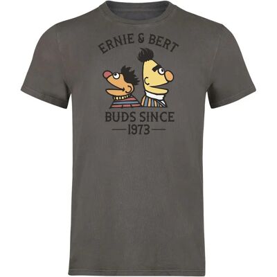 Sesame Street Ernie ja Bert - Bros Since 1973 - Lyhythihainen T-paita - Mies - Harmaa Sesame Street Ernie ja Bert - Bros Since 1973 - Lyhythihainen T-paita - Mies - Harmaa