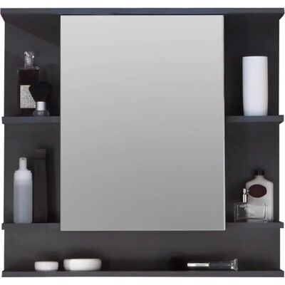 TRENDTEAM Rauchsilber Badezimmer Spiegelschrank - Höhenverstellbares Regal TRENDTEAM Rauchsilber Badezimmer Spiegelschrank - Höhenverstellbares Regal