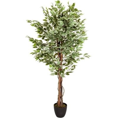 Plante Artificielle Ficus HJH - Décor Intérieur & Extérieur - Publicité Plante Artificielle Ficus HJH - Décor Intérieur & Extérieur - Publicité