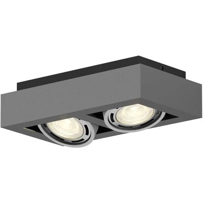 Arcchio Mørkgrå Justerbar 2-lys Loftlampe Arcchio Mørkgrå Justerbar 2-lys Loftlampe