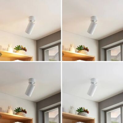 Arcchio Thabo Spotlight LED regolabile bianco - Illuminazione Arcchio Thabo Spotlight LED regolabile bianco - Illuminazione