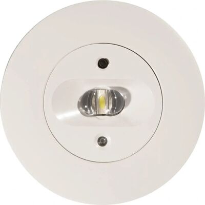 B-Safety BL552038 Safety Light - Ceiling Mount B-Safety BL552038 Safety Light - Ceiling Mount