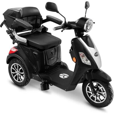 Rolektro E-Trike 25 V.3 - Elektrisches Dreirad Rolektro E-Trike 25 V.3 - Elektrisches Dreirad