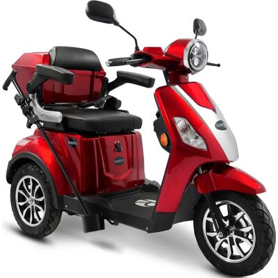 Rolektro E-Trike 25 V.3 - Elektrorad mit Lithium-Akku Rolektro E-Trike 25 V.3 - Elektrorad mit Lithium-Akku