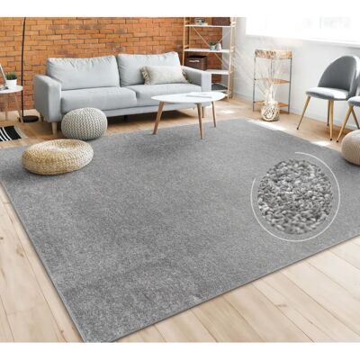 Paco Home Anthrazit Kurzflor Teppich - Wohnzimmerteppich Paco Home Anthrazit Kurzflor Teppich - Wohnzimmerteppich