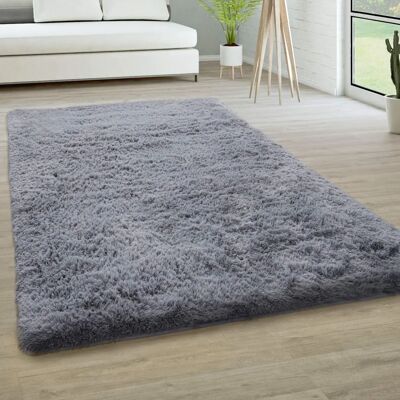 Tappeto Salotto Pelo Lungo - Paco Home Grigio Tappeto Salotto Pelo Lungo - Paco Home Grigio