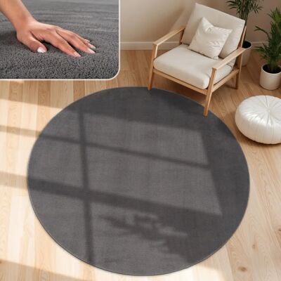 Paco Home Antrazit Teppich - Ø 200 cm - Einfach & Weich Paco Home Antrazit Teppich - Ø 200 cm - Einfach & Weich