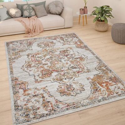 PACO HOME Kurzflor-Teppich - Vintage Orientalisches Muster - Elegante Pastellfarben - Robuste Polypropylen-Polyester-Mischung - Für Wohnzimmer & stark frequentierte Bereiche PACO HOME Kurzflor-Teppich - Vintage Orientalisches Muster - Elegante Pastellfarben - Robuste Polypropylen-Polyester-Mischung - Für Wohnzimmer & stark frequentierte Bereiche
