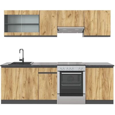 Placard de cuisine Vicco Raul - 240cm, Modulaire - Publicité Placard de cuisine Vicco Raul - 240cm, Modulaire - Publicité