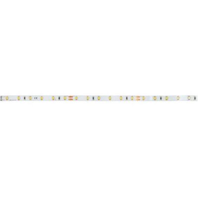 Brumberg Nastro LED 24V 5m - Striscia LED Brumberg Nastro LED 24V 5m - Striscia LED
