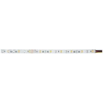 Brumberg Banda LED 24V RGBW 5m - Banda LED Brumberg Banda LED 24V RGBW 5m - Banda LED
