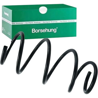 Borsehung B12564 Fjedder til foraksel - Fjedder til foraksel Borsehung B12564 Fjedder til foraksel - Fjedder til foraksel