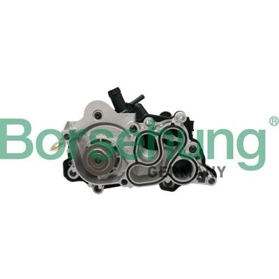 Borsehung Bomba de agua - Compatible con Audi, Seat, VW Borsehung Bomba de agua - Compatible con Audi, Seat, VW