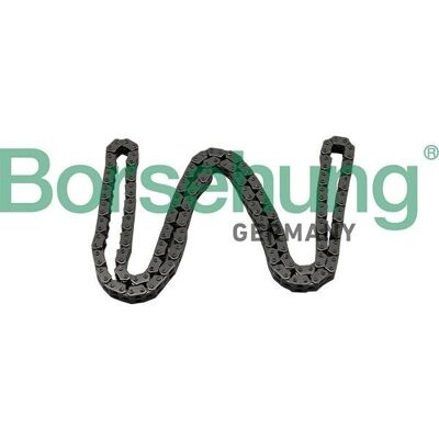 Borsehung B17886 Timing Chain - Timing Chain for Audi A1 A3 Seat Ibiza Leon Skoda Fabia Borsehung B17886 Timing Chain - Timing Chain for Audi A1 A3 Seat Ibiza Leon Skoda Fabia