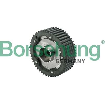 Borsehung venttiilinvarren säätölaite - Yhteensopiva Audi, Seat, Skoda, VW Borsehung venttiilinvarren säätölaite - Yhteensopiva Audi, Seat, Skoda, VW