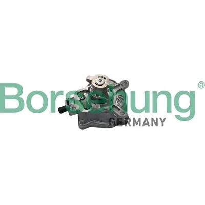 Borsehung B18774 Brake Vacuum Pump for Audi Q3 Tt VW - Brake System Part Borsehung B18774 Brake Vacuum Pump for Audi Q3 Tt VW - Brake System Part