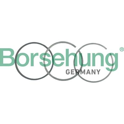Borsehung B19036 Kolbenringe Satz für Volkswagen, Audi, Seat - Motorenteile Borsehung B19036 Kolbenringe Satz für Volkswagen, Audi, Seat - Motorenteile
