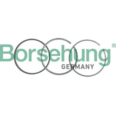 Borsehung B19037 Kolbenring-Set für Seat & VW - Motorenteile Borsehung B19037 Kolbenring-Set für Seat & VW - Motorenteile