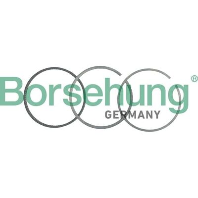 Borsehung Kolbenringe Satz - A3, A4, A6, TT, Allroad, Cabriolet Borsehung Kolbenringe Satz - A3, A4, A6, TT, Allroad, Cabriolet
