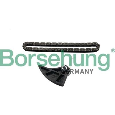 Borsehung Timing Chain Kit - Compatible with Audi A3, Seat Cordoba, Ibiza Borsehung Timing Chain Kit - Compatible with Audi A3, Seat Cordoba, Ibiza