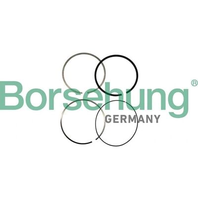 Borsehung B10361 Set Anelli Pistoni - Ricambi motore Borsehung B10361 Set Anelli Pistoni - Ricambi motore