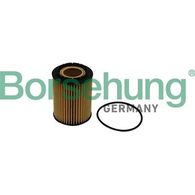 Borsehung E50334 - Filtro de aceite para Audi, Skoda, VW Borsehung E50334 - Filtro de aceite para Audi, Skoda, VW