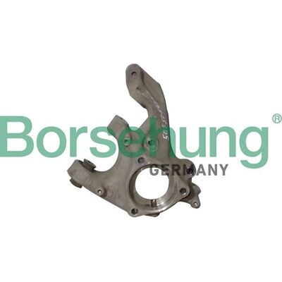 Borsehung B12114 - Achsschenkel für Skoda Kodiaq, VW Tiguan II Borsehung B12114 - Achsschenkel für Skoda Kodiaq, VW Tiguan II