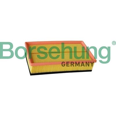 Filtro de aire Borsehung B12218 para VW California y Multivan - Filtro de aire Filtro de aire Borsehung B12218 para VW California y Multivan - Filtro de aire