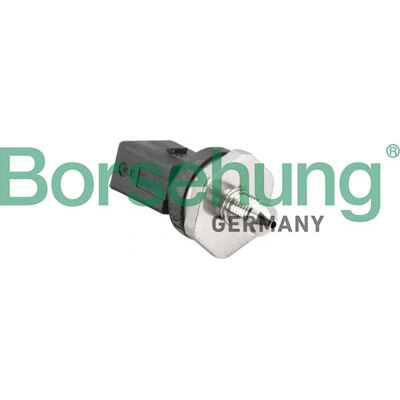 Borsehung B11857 Kraftstoffdrucksensor - Kraftstoffdrucksensor Borsehung B11857 Kraftstoffdrucksensor - Kraftstoffdrucksensor