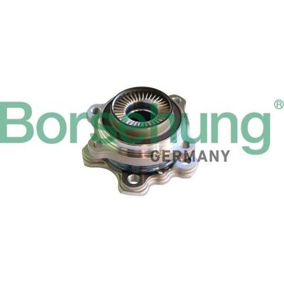Borsehung B11293 Pyörän laakerisetti - Takadifferenssi OEM BMW Borsehung B11293 Pyörän laakerisetti - Takadifferenssi OEM BMW