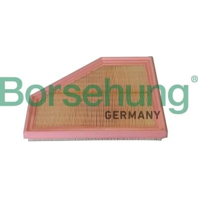BORSEHUNG B12291 - Ilmansuodatin BORSEHUNG B12291 - Ilmansuodatin