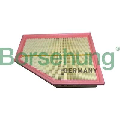 Filtro de aire OEM BORSEHUNG B12450 - Filtro de aire Filtro de aire OEM BORSEHUNG B12450 - Filtro de aire